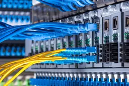 Close-up of organized blue and yellow ethernet cables plugged into a network server rack.